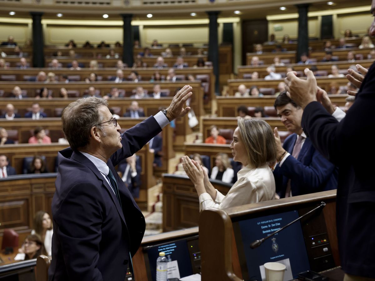 Foto: Feijóo afronta en el Congreso la segunda votación. (EFE/Sergio Pérez)