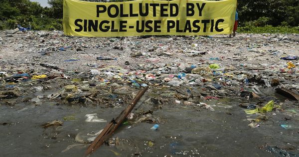 Foto: El vertido de plásticos en mares y océanos, un grave problema al que se buscan soluciones. (EFE)