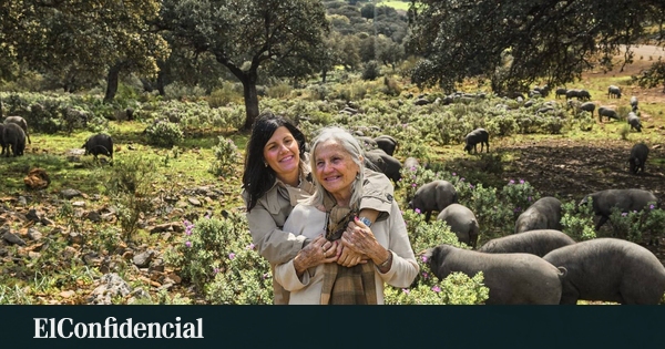 Una catedrática quiere salvar al rubio dorado, el cerdo ibérico al borde de la extinción