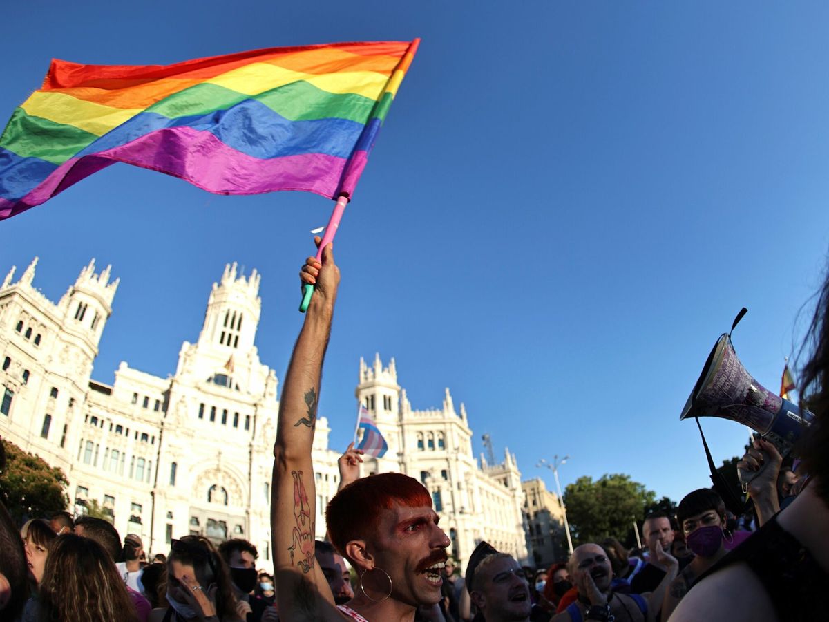 Foto: Manifestación convocada por Orgullo Crítico Madrid. (EFE/Rodrigo Jiménez)