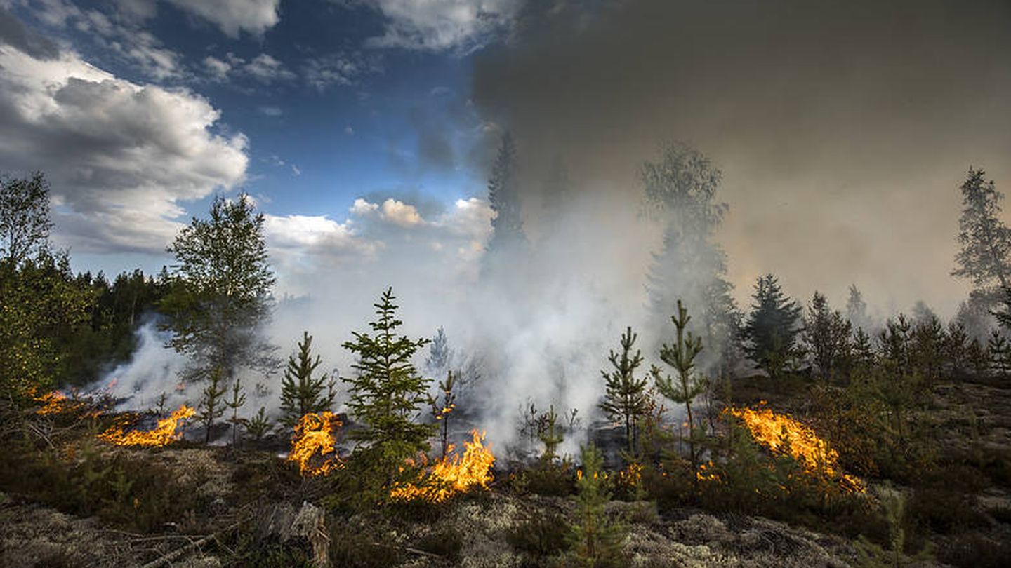 Incendio forestal en Suecia. (Flickr)