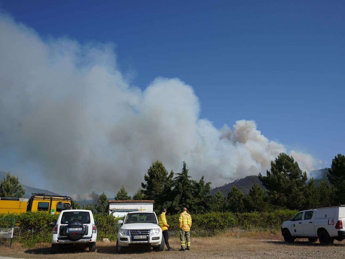 Foto: Columna de humo del incendio forestal de las Hurdes. (EFE/Eduardo Palomo)