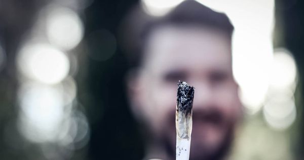 Foto: Un joven muestra un porro de marihuana. (iStock)