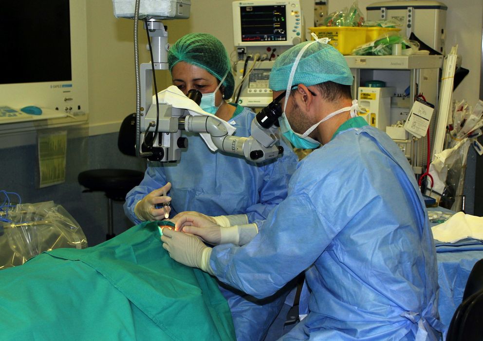 Foto: España bate un nuevo récord histórico en número de trasplantes y donaciones de órganos en 2014. (EFE)