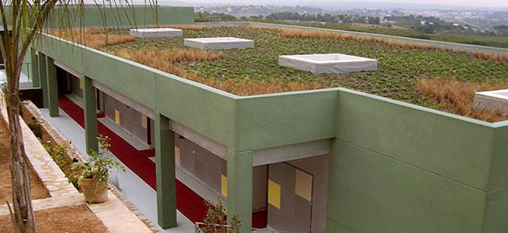 Foto: Llega el ‘flower power’: cambie su tejado por plantas