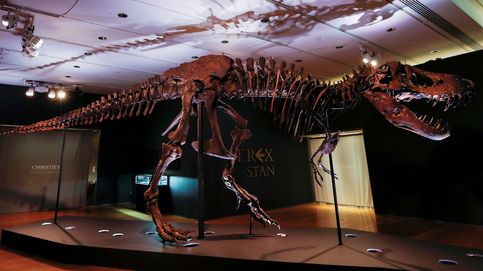 El Tyrannosaurus rex más caro del mundo se expondrá en Abu Dabi