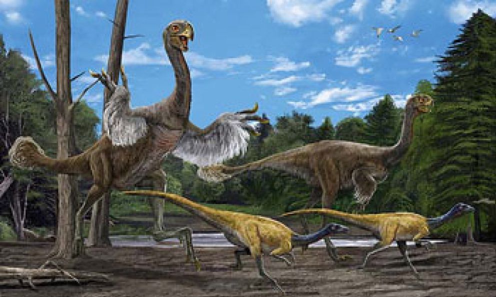 Descubren una nueva especie de dinosaurio gigante parecido a un ave y con  plumas