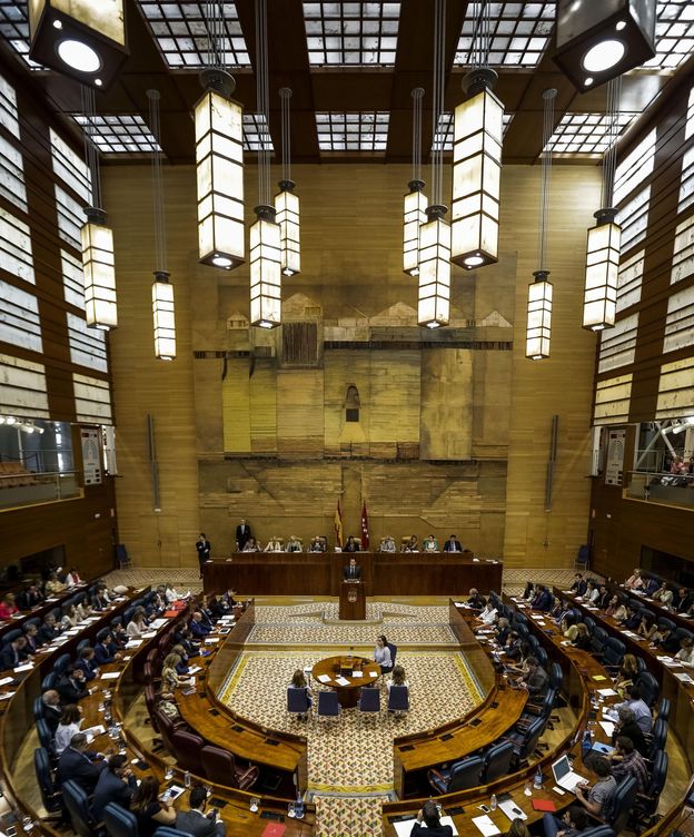 Foto: Vista general de la Asamblea de Madrid. (EFE)