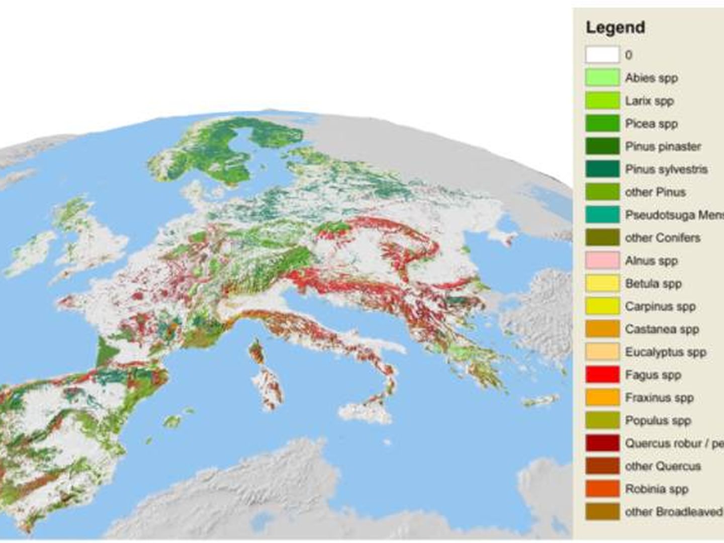 Las plantaciones más abundantes de eucalipto y pino marítimo se encuentran en la Península Ibérica (EFI)