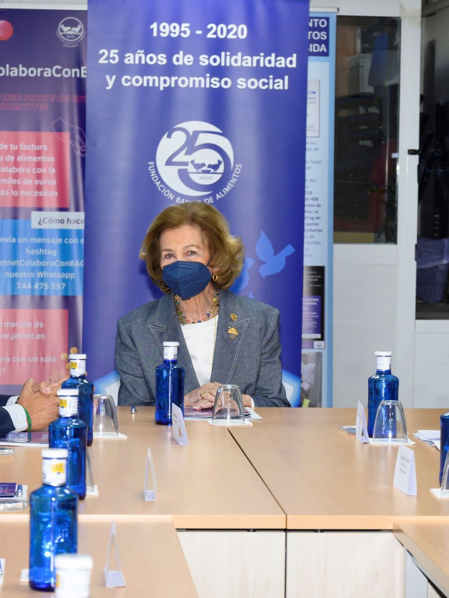 La reina Sofía, durante una reunión con los responsables del Banco de Alimentos de Granada. (EFE)