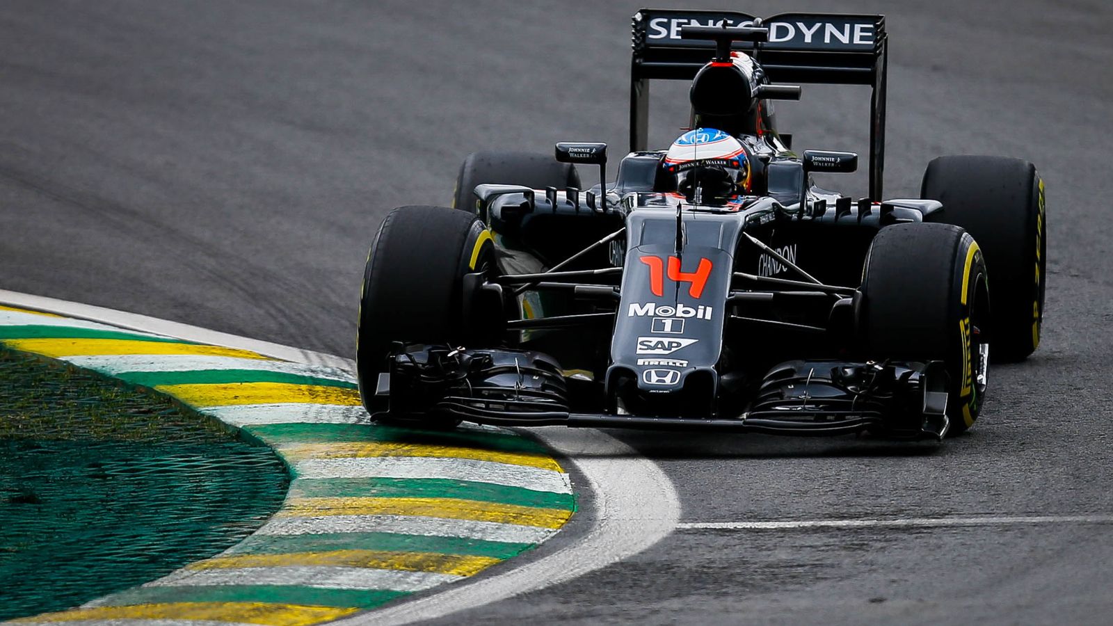 Foto: Fernando Alonso pilotando en Interlagos su MP4-31.