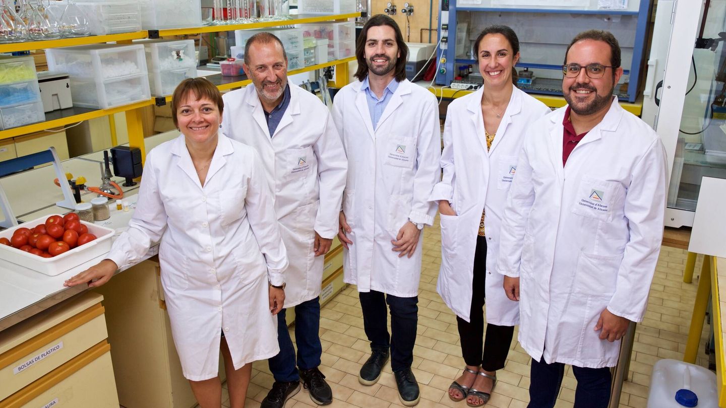 El equipo de Nanobiopol de la Universidad de Alicante. (Cedida)