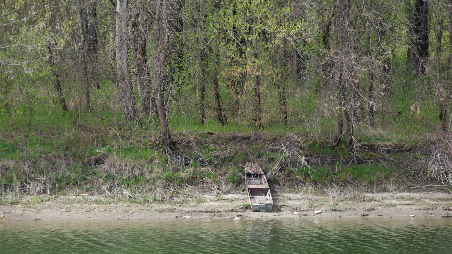 Una de las orillas del Danubio cerca de Liberland. (Alamy/Jurriaan Brobbel)