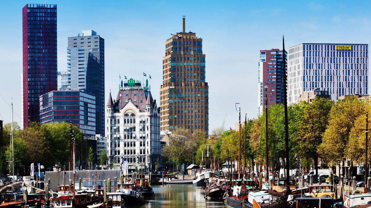 El Mosa, el Markthal, Bruno... Cuatro razones por las que debes ir a Rotterdam este año