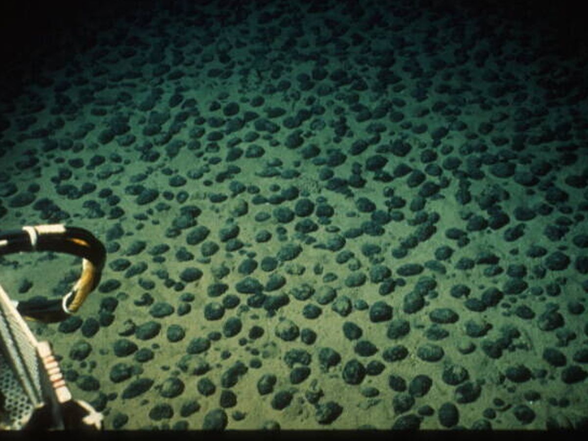 Foto: En el fondo del océano Pacífico se produce un fenómeno que se creía imposible