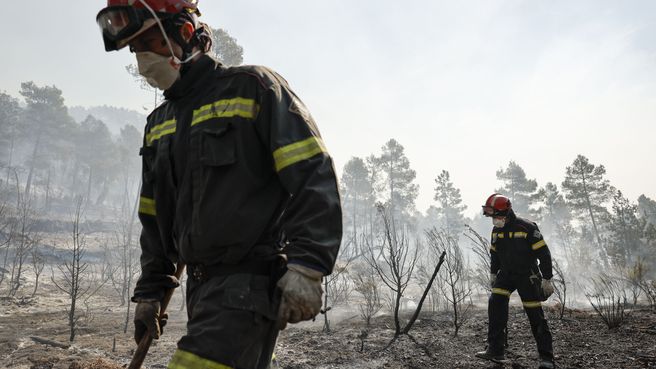 Foto de Incendio forestal en Castellón 