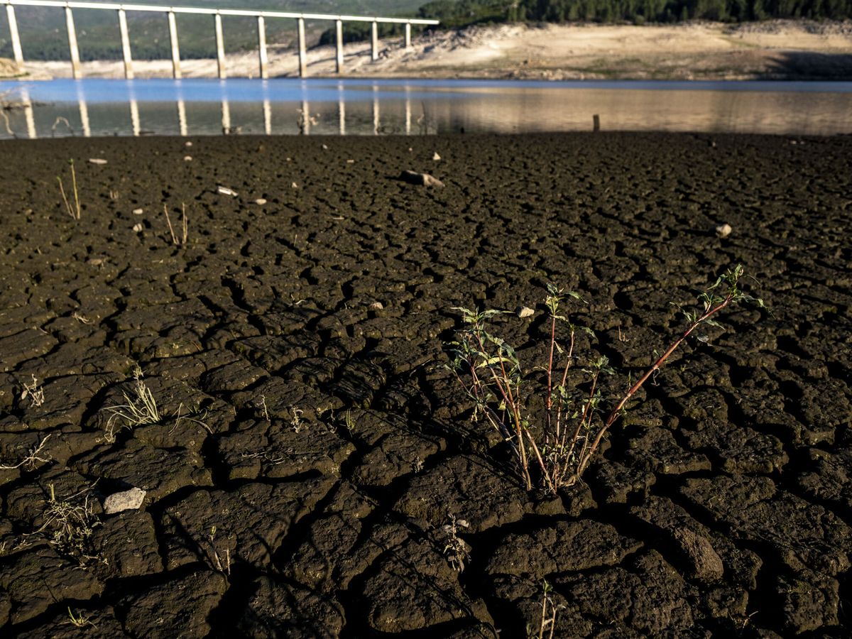 Foto: La sequía se está haciendo visible en todo el país. (EFE/Brais Lorenzo)