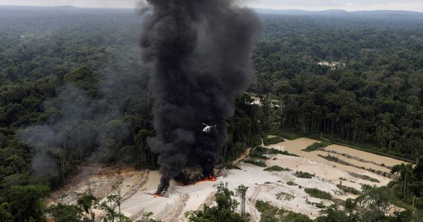Foto: The Wider Image: Brazil's Amazon rainforest under siege by illegal mines