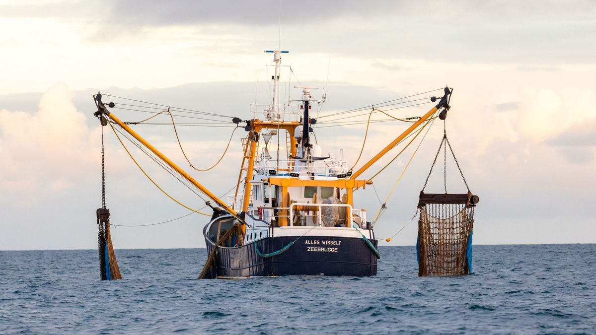 Bruselas y Londres logran el primer acuerdo de reparto de cuotas pesqueras tras el Brexit
