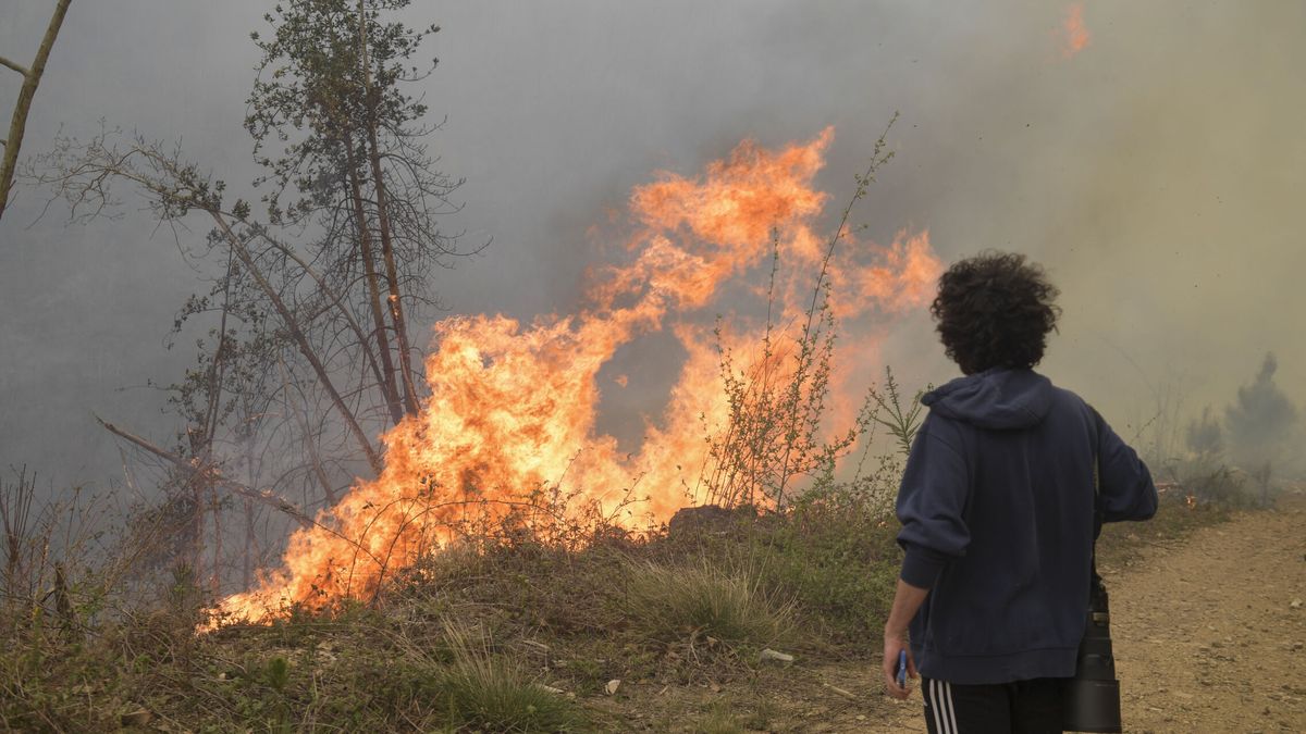 Los incendios en Asturias obligan a cortar la autovía que une la comunidad con Galicia