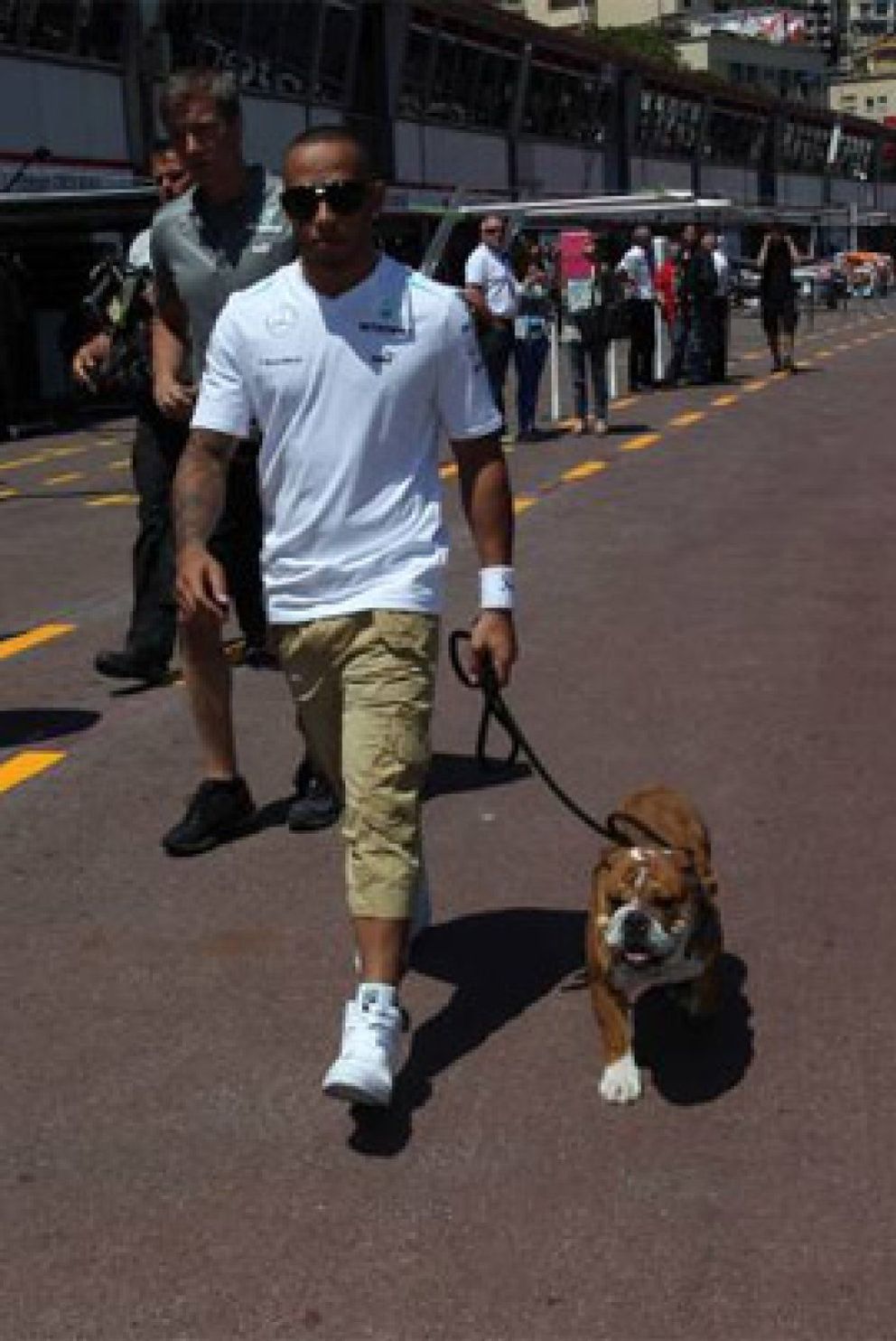 Foto: ¿Cómo coj… puede distraer un perro a Lewis Hamilton?