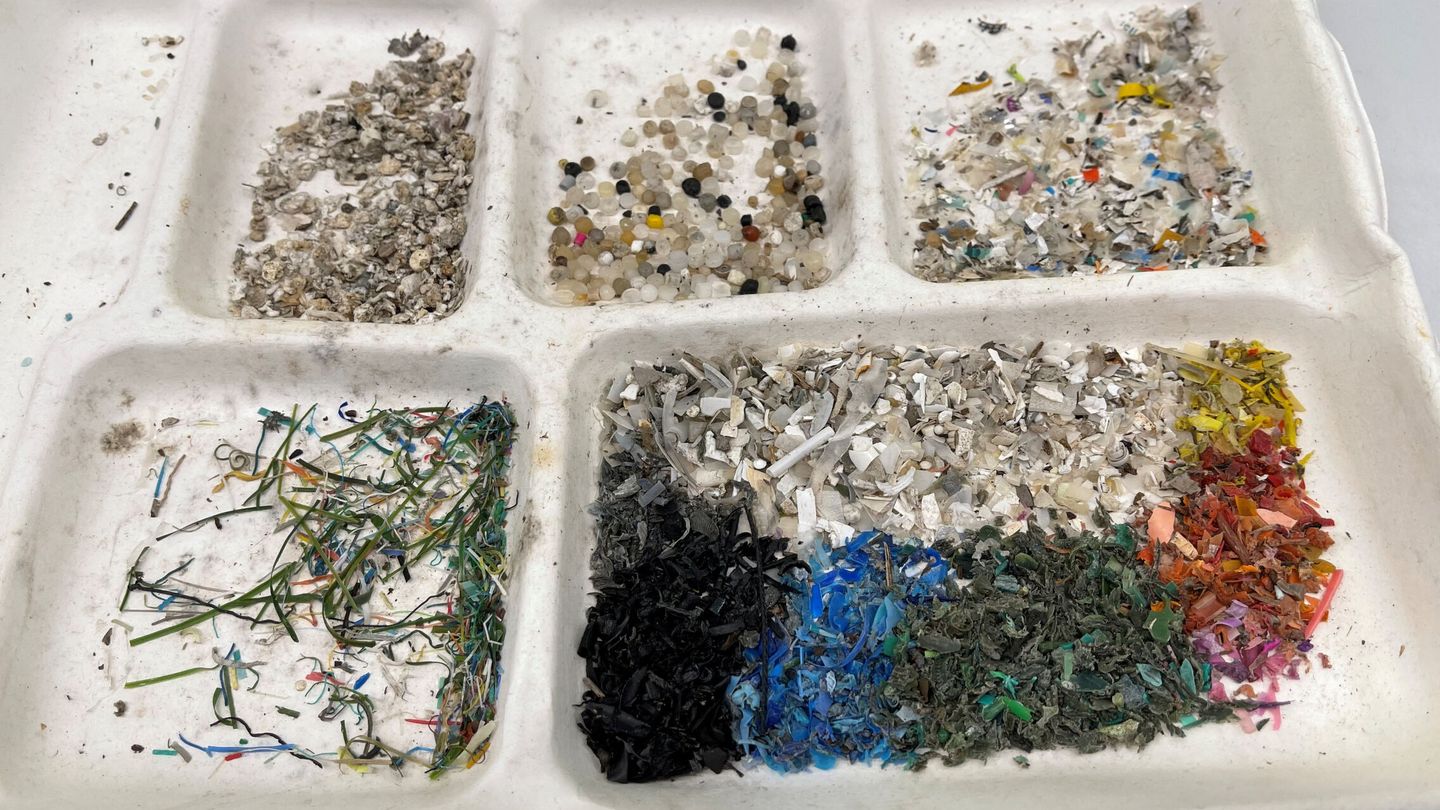 Muestra de partículas de plástico filtradas de agua marina. Estas partículas pasan a los seres humanos en el consumo de peces y marisco, causando daños físicos y cáncer. En 2050, se estima que las partículas de plástico flotando en el océano pesen más que todos los peces en el mar.