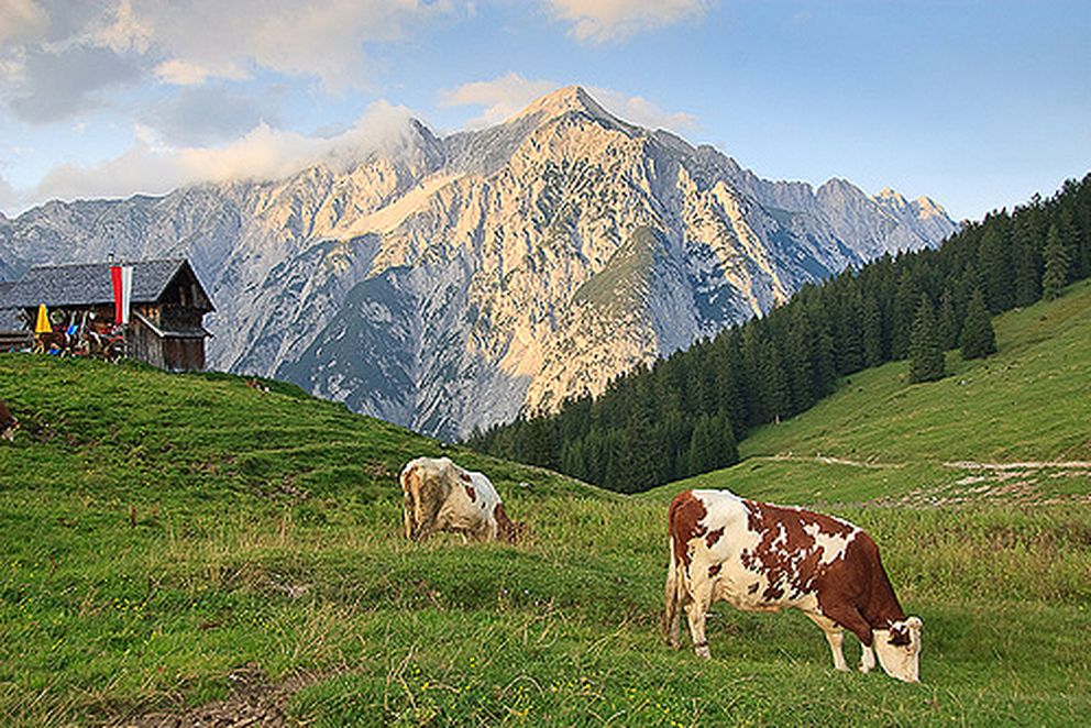 La granja de los Alpes donde nació playence en 2009