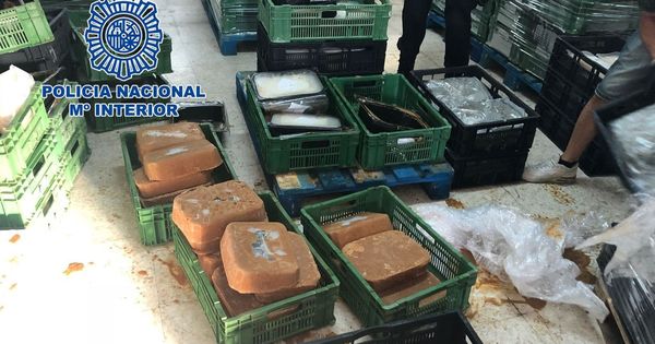 Foto: La policía nacional incauta más de media tonelada de cocaína escondida dentro de bloques de comida congelada