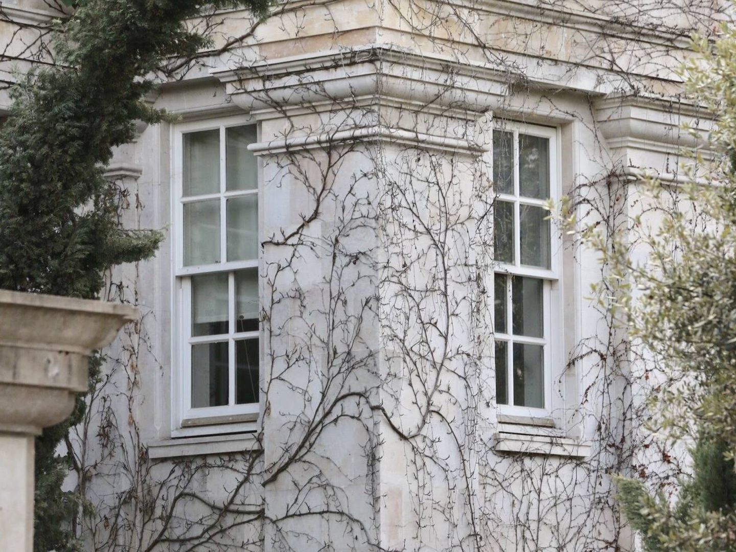 La vegetación cubre parte de la fachada de la casa. (J. Martín)