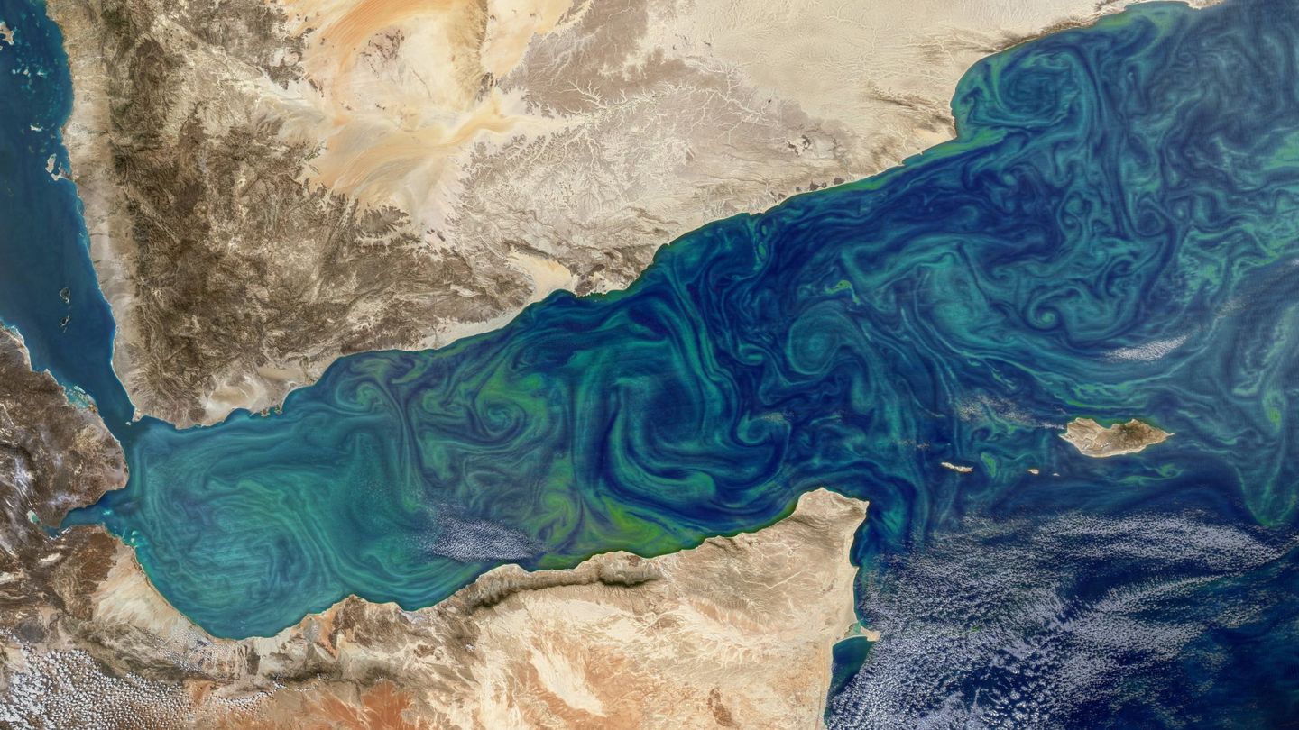 Fitoplancton en el Golfo de Adén. (NASA)