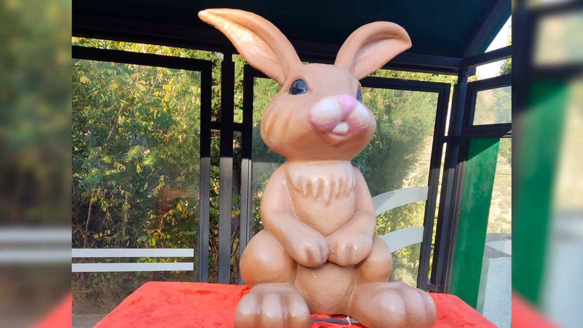 ¿Quién ha robado el conejo de Parauta? 5.000 visitantes, una recompensa y cero pistas