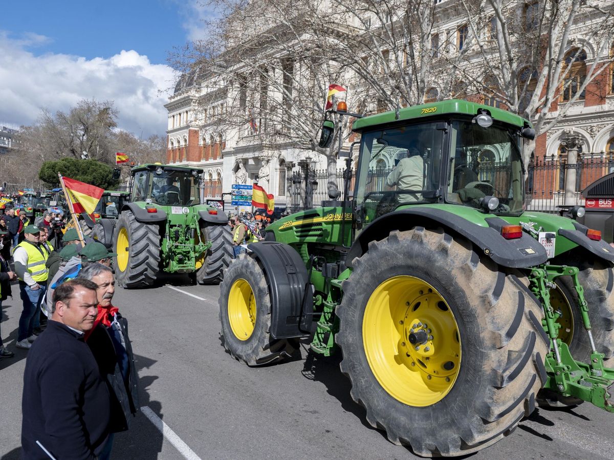 Foto: Protestas de los agricultores en Madrid. (Europa Press/Alberto Ortega)