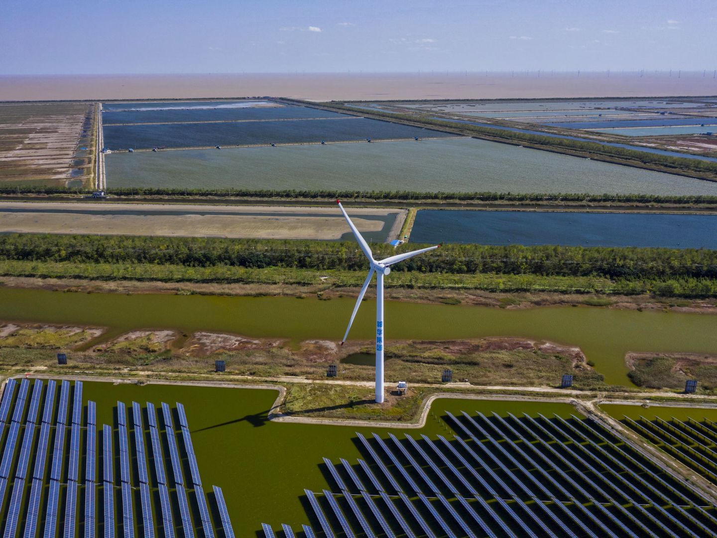 Foto de recurso de un parque híbrido de eólica y fotovoltaica. (Reuters)