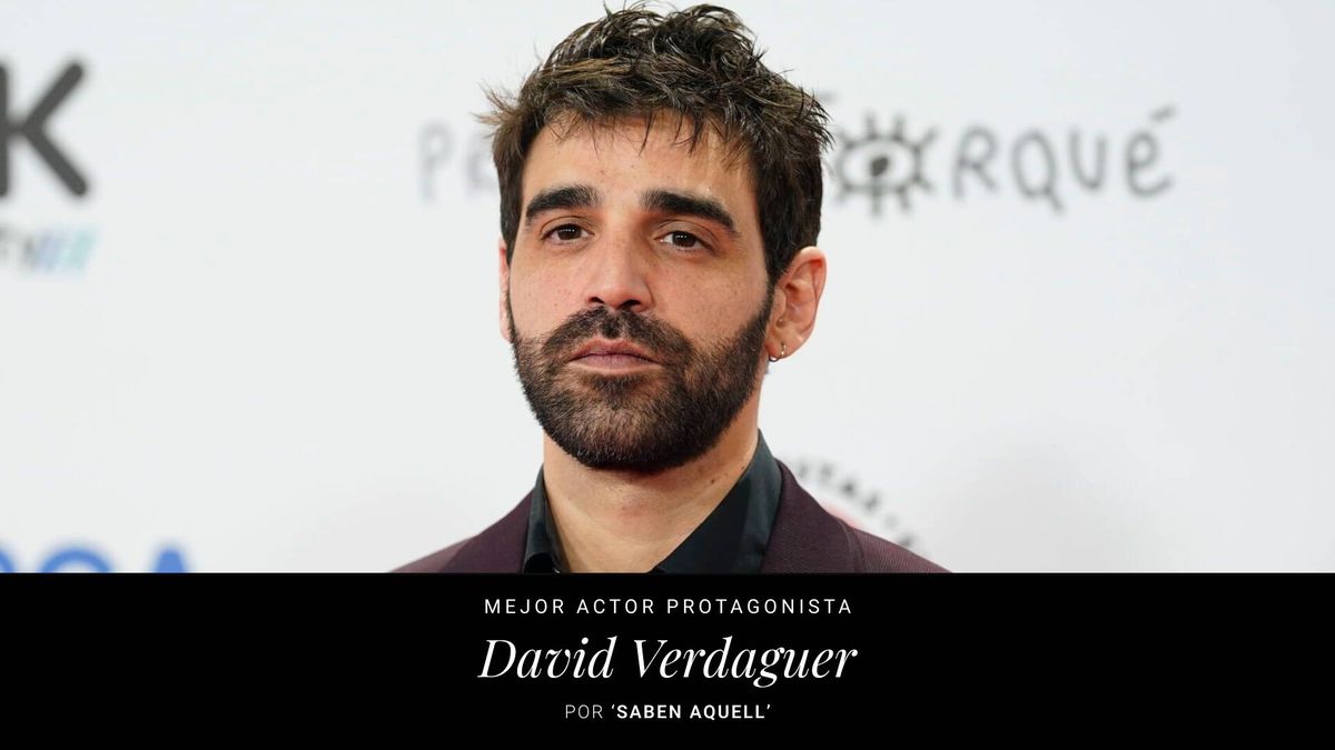 David Verdaguer, Goya a mejor actor protagonista por su Eugenio en 'Saben aquell'