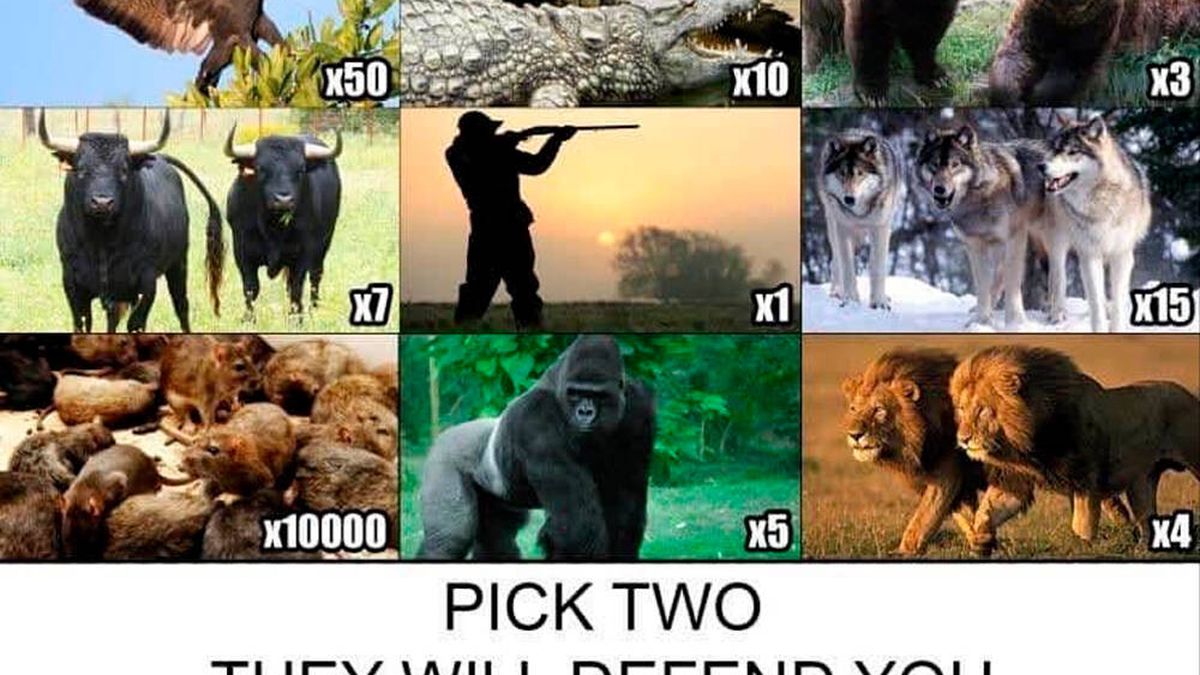Dos animales te salvarán, el resto te matará: el meme que tiene a medio internet pensando