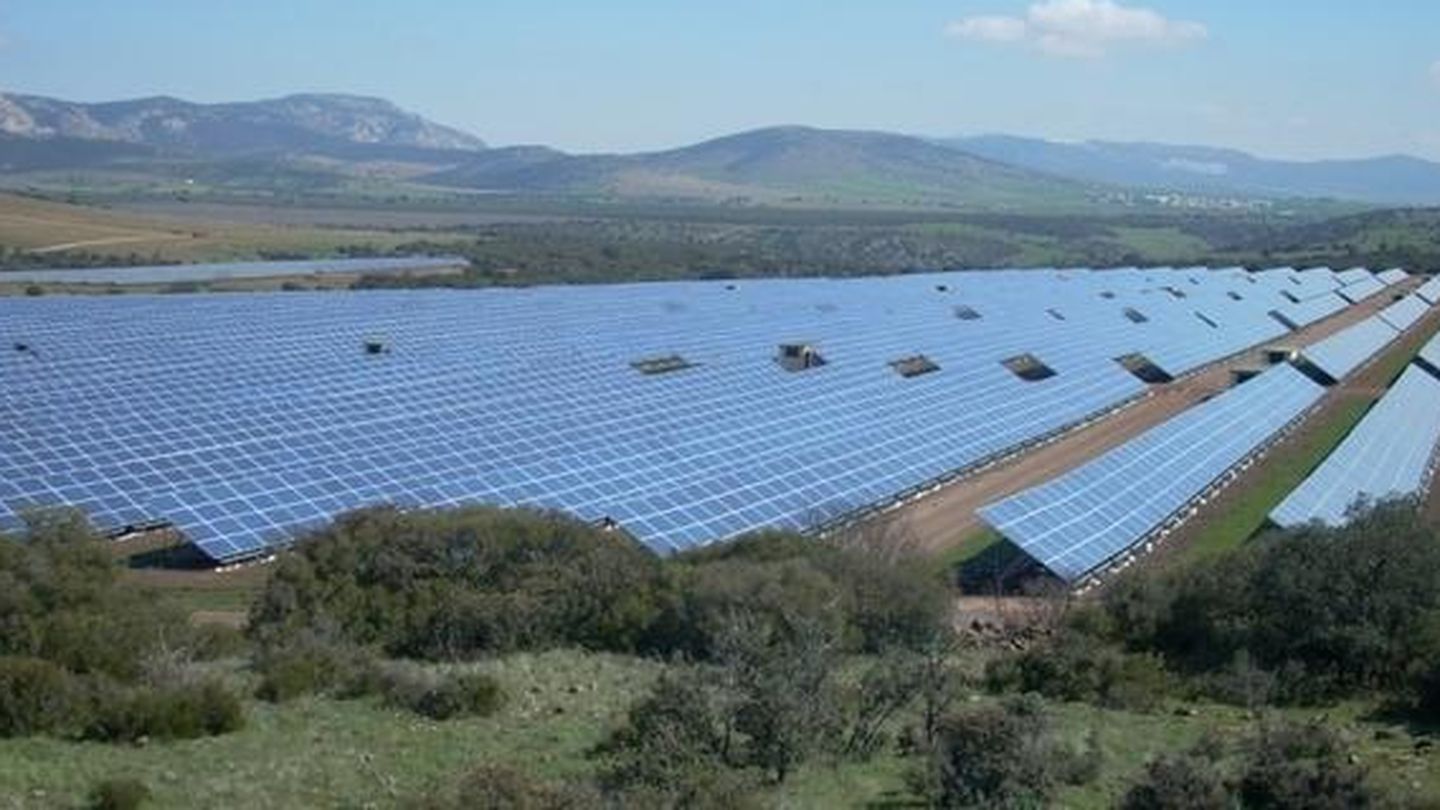 Paneles solares de Renovalia en Puertollano. (Renovalia)