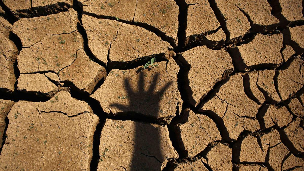 La sequía arrecia y los pantanos se secan: esto es lo que nos espera a la vuelta de vacaciones
