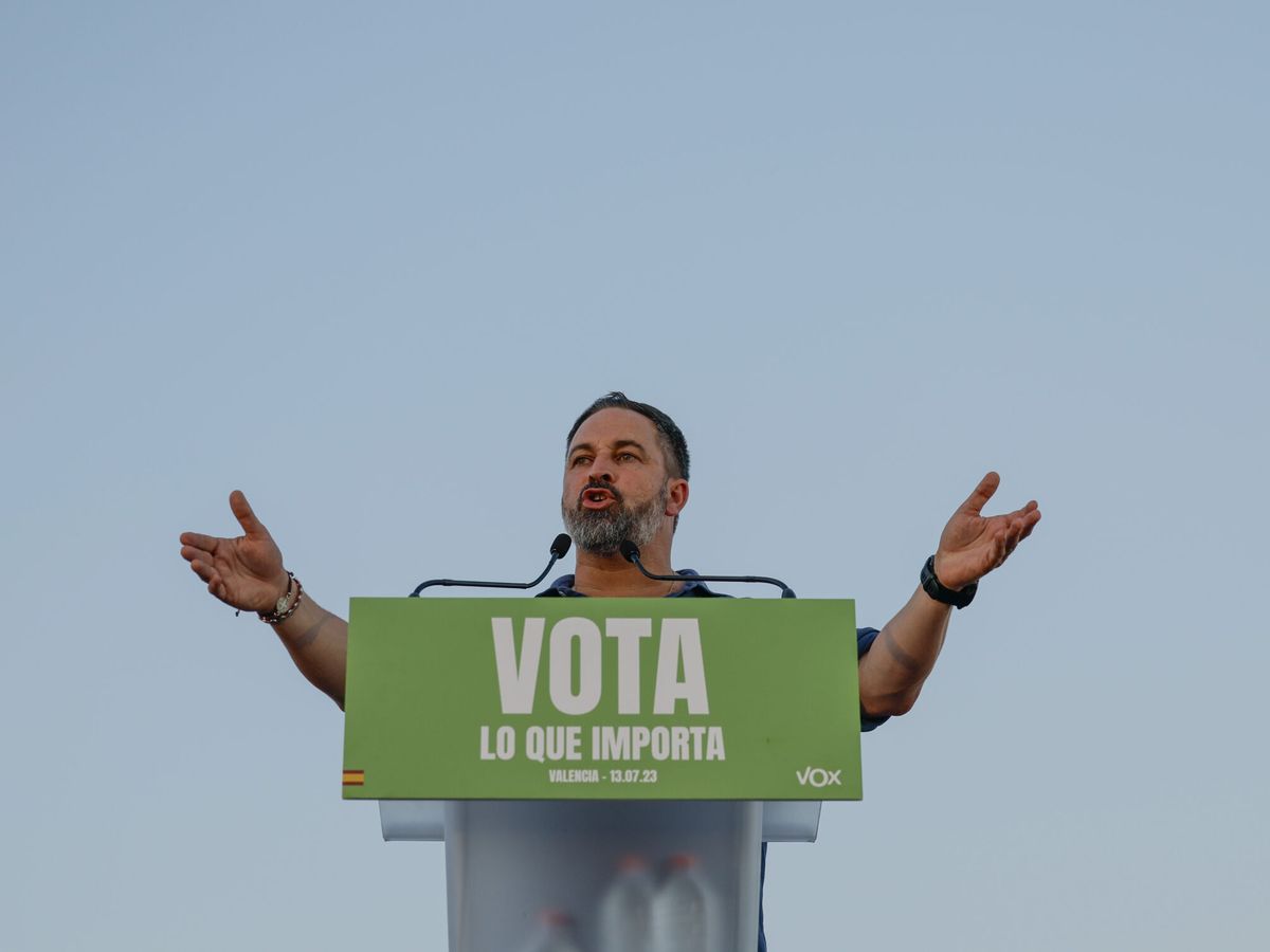 Foto: El candidato de Vox a la Presidencia del Gobierno, Santiago Abascal. (EFE/B. Aliño)