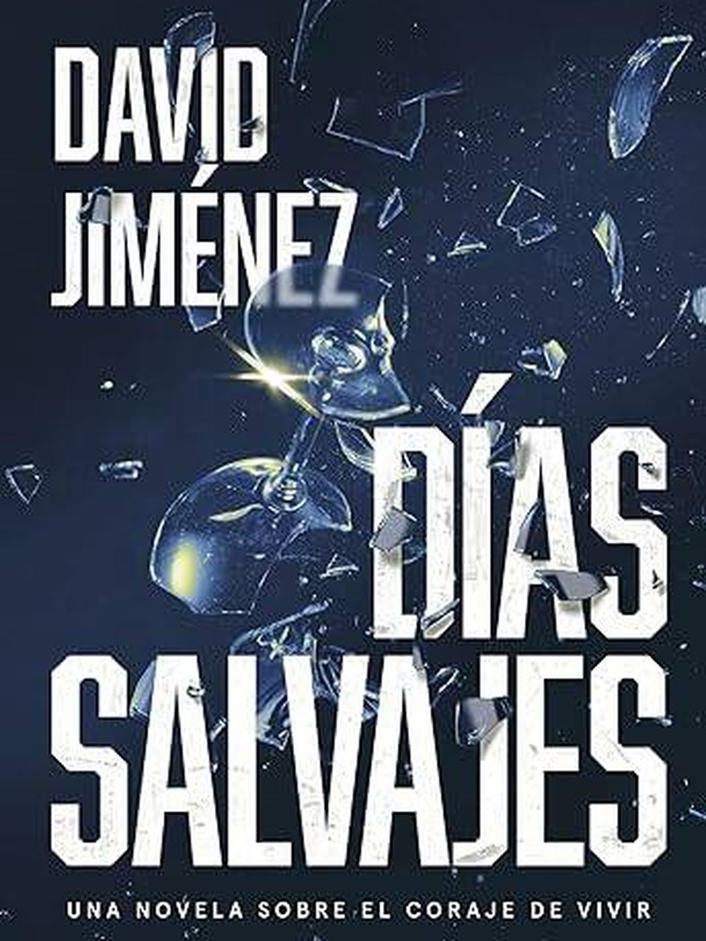 Portada de 'Días Salvajes', la nueva novela de David Jiménez.