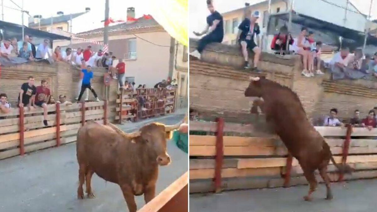 Pánico con una vaquilla en un encierro: salta la valla y hiere a dos personas en Navarra