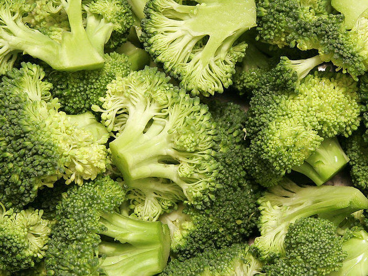 Foto: La verdura que Harvard recomienda para cuidar el intestino y que todos odian. (iStock)