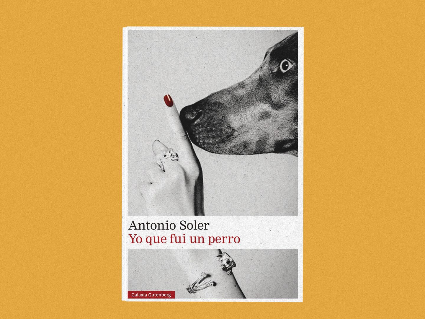 'Yo que fui un perro', de Antonio Soler.