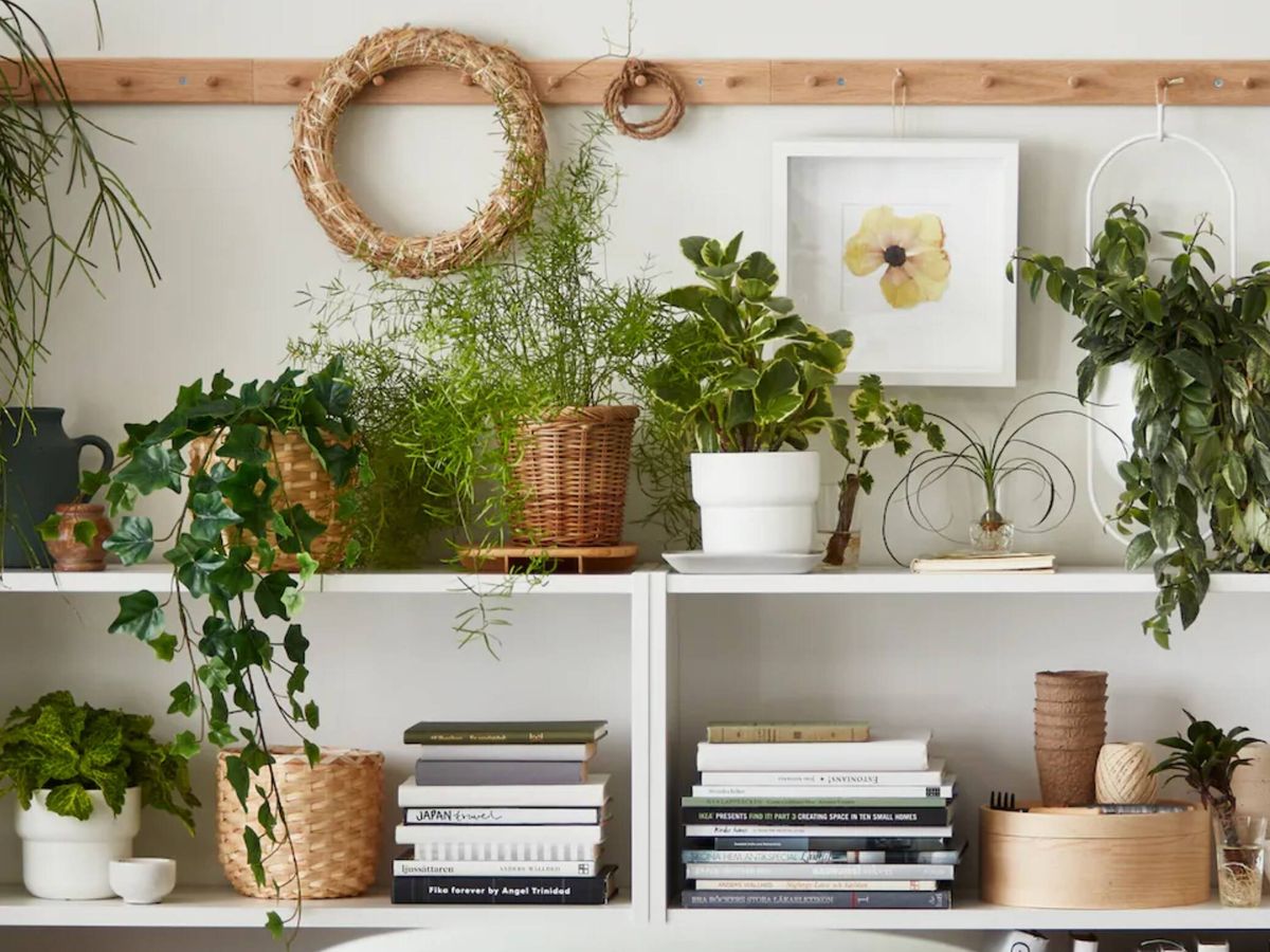 Cómo decorar el interior de la casa con plantas y maceteros 