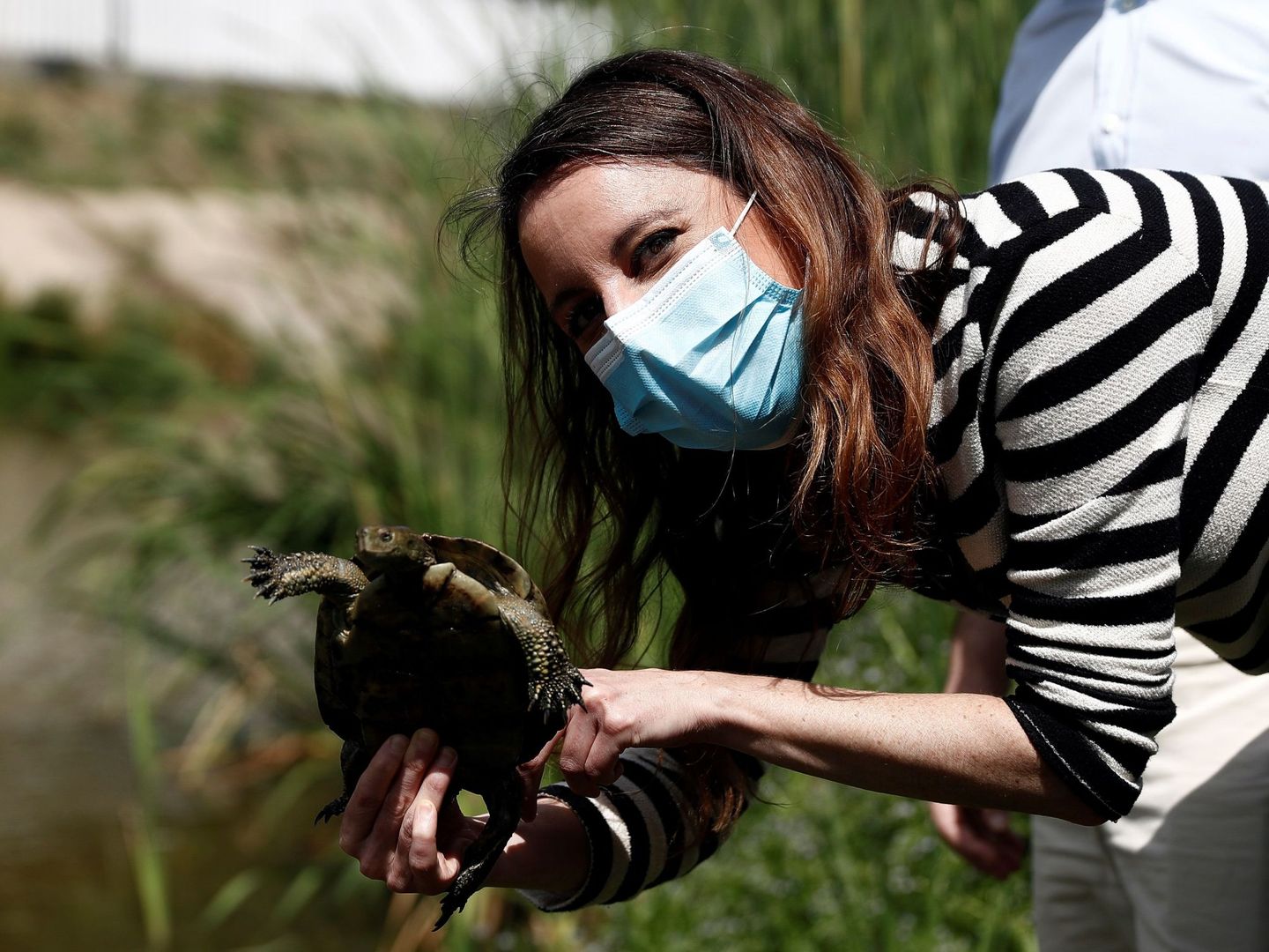 Andrea Levy, liberando unos galápagos en el Manzanares. (EFE)