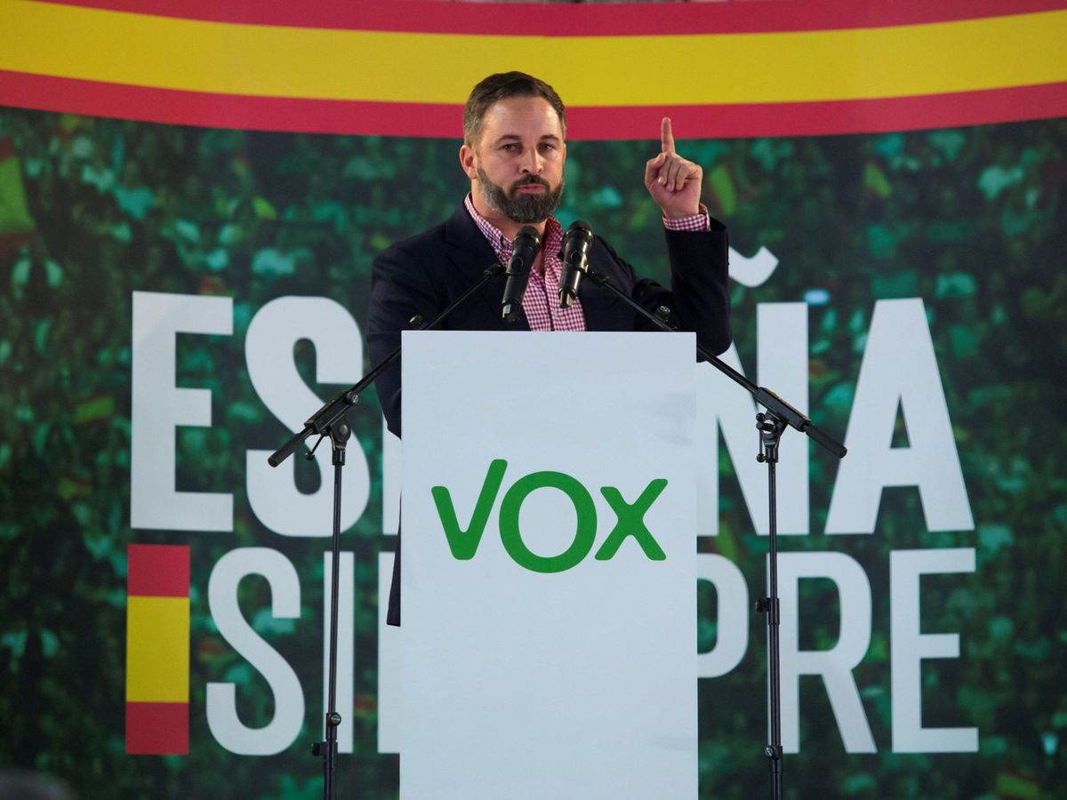 Foto: El presidente de VOX, Santiago Abascal. (EFE)