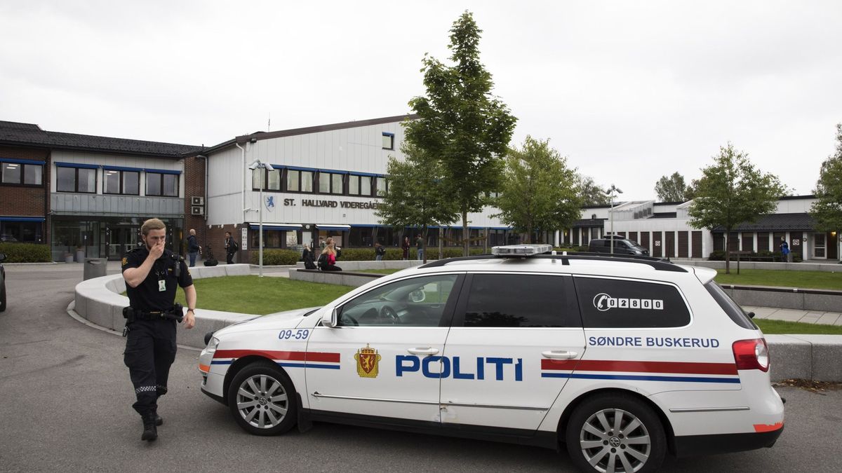 Al menos cuatro personas heridas en un ataque con arma blanca en Numedal (Noruega)