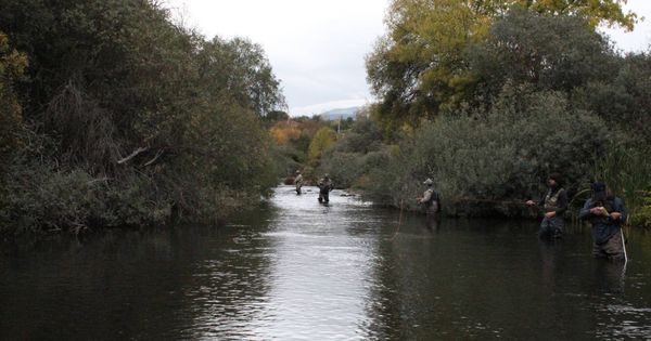 Foto: Pescadores en el río Lozoya de Madrid. Foto: Sociedad de Pescadores Alto Valle del Lozoya