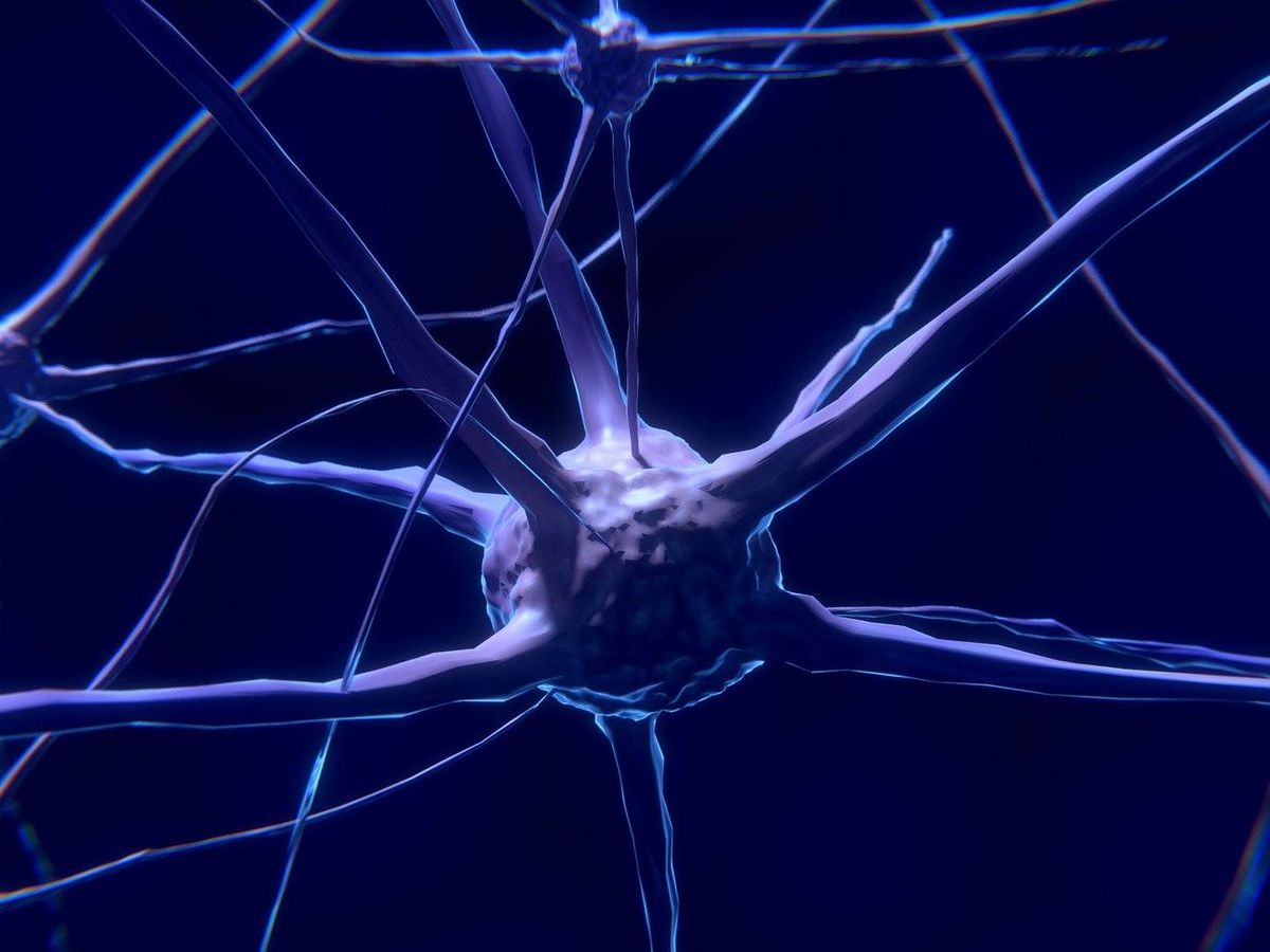 Foto: Simulación de una neurona. (Pixabay)