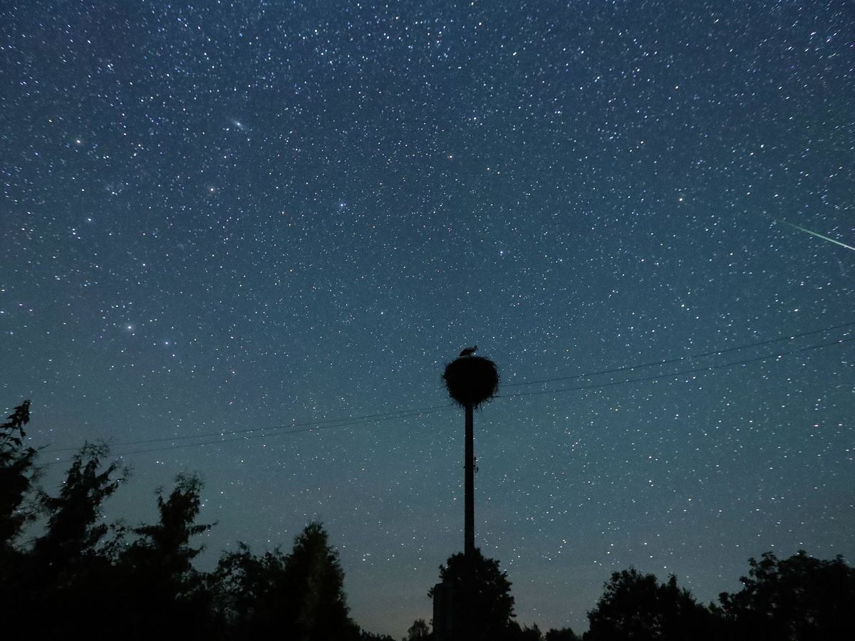 Foto: Lluvia de estrellas de las Perseidas, conocida como las lágrimas de San Lorenzo, vista desde Bielorrusia en 2018 (EFE)