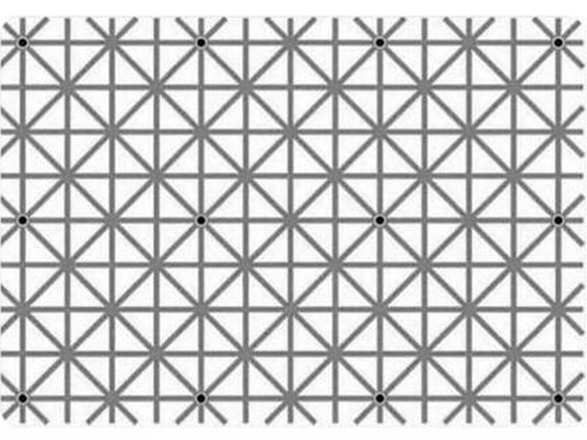 Foto: Acertijo visual: ¿Cuántos puntos negros logras ver en la imagen? (Facebook)